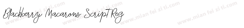 Blackberry Macarons Script Regular字体转换